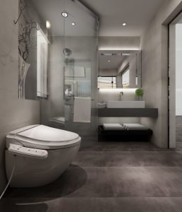 Diaporama Abattant wc japonais START – SANICLEAN