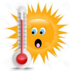 La canicule n’a qu’à bien se tenir !