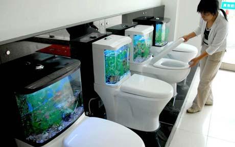 Les WC aquarium