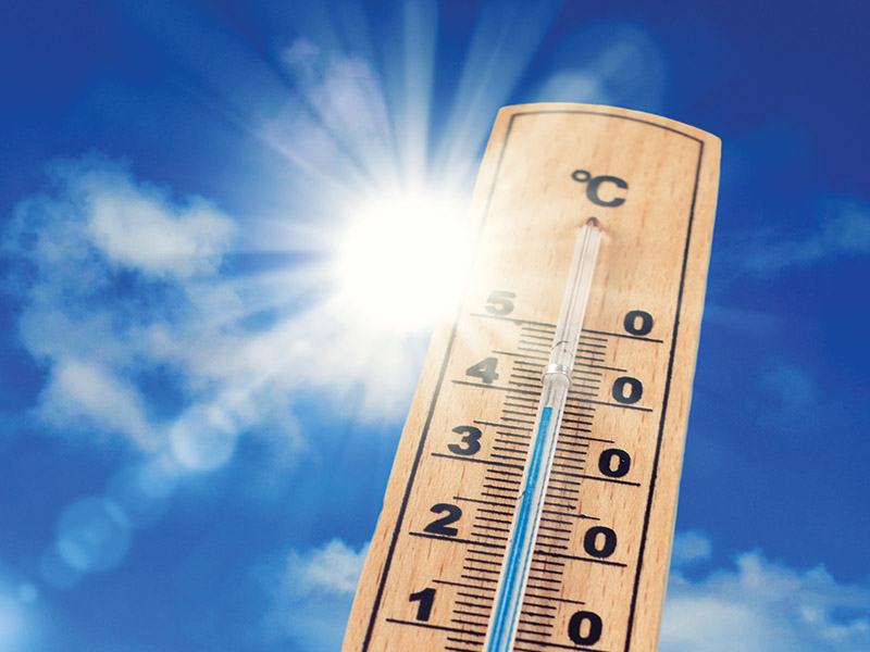 La canicule n’a qu’à bien se tenir !