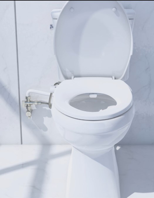 Comment bien nettoyer ses WC japonais lavant ?