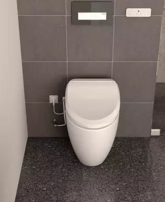 WC Japonais suspendu taille allongée Privilège