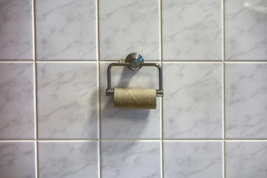 Papier toilette : bientôt fini grâce aux WC lavants ? 