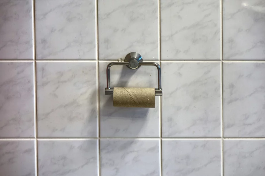 Papier toilette : bientôt fini grâce aux WC lavants ?